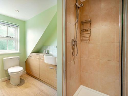 a bathroom with a shower and a toilet and a sink at 2 Bed in Horsted Keynes 60405 in Horsted Keynes