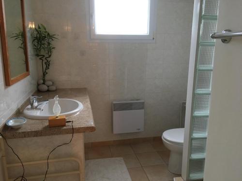 a bathroom with a sink and a toilet at Cosy T2, au calme entre mer et montagnes in Saint-Pée-sur-Nivelle