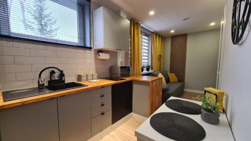 eine Küche mit einer Spüle und einer Theke in der Unterkunft Apartament SECONDO 
