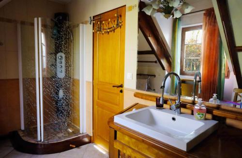 a bathroom with a sink and a shower at La Tourelle in Pullay
