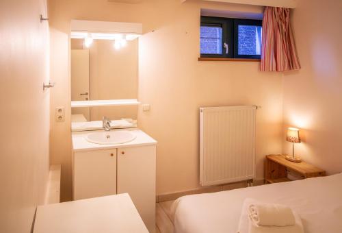 uma pequena casa de banho com um lavatório e um espelho em B&B La Ferme de l'Hosté em Wavre