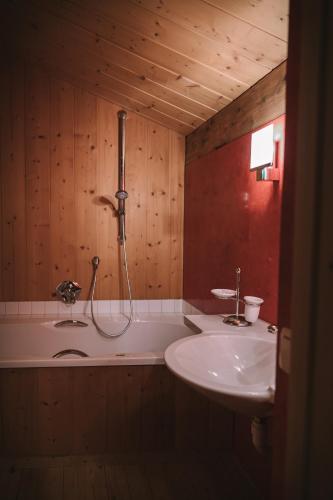 a bathroom with a shower and a sink at Bregenzerwald Ferienhaus in Egg