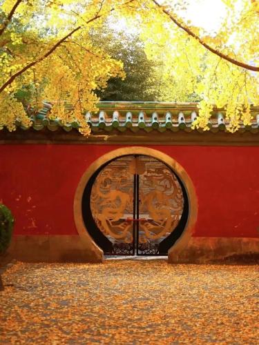 East Sacred Hotel ᴸᴱO Cover most of needs ---Foreign Accept English-Speaking Team--- 2 mins-walk to Subway丨Customized Tour Better-Live like a Local丨Near Tiananmen Forbidden丨Free Laundry,coffee,snacks and wifi-unlimited Software Leoの敷地内または近くで楽しめるサイクリング