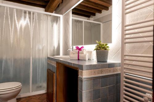 La salle de bains est pourvue d'un lavabo et de toilettes. dans l'établissement Tenuta Aronne, à Massa Marittima