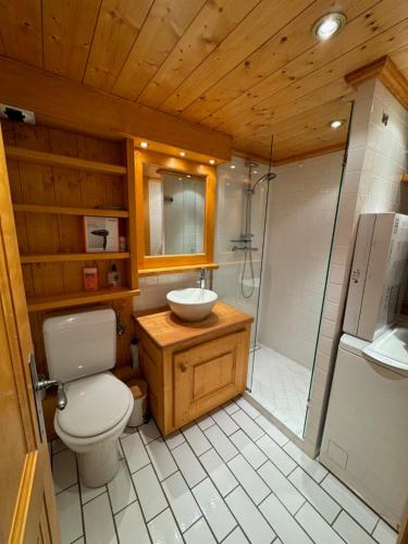 uma casa de banho com um WC, um lavatório e um chuveiro em CHALET LE REPAIRE PROCHE PISTE em Megève