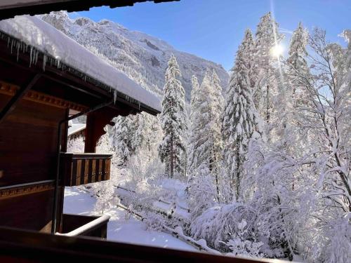 a view of a snow covered forest from a cabin at Peacefull Mountains View in Kandersteg