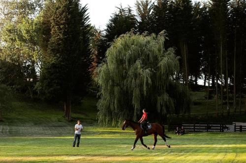 a woman riding a horse in a field with a man at Preciosa Casa en Condominio Polo Maitencillo in Maitencillo