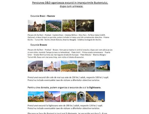 a screenshot of a page of a website with a picture of buildings at D&D Busteni in Buşteni