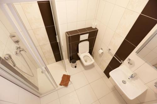 uma casa de banho com um chuveiro, um WC e um lavatório. em Penzion Patron em Brno