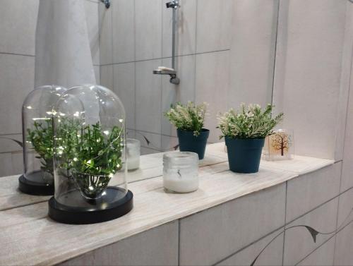 a bathroom counter with potted plants and a glass dome at Family Stay in Lviv (2 Rooms + Kitchen) in Kulʼparkuv