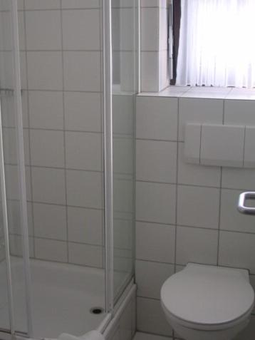 a white bathroom with a shower and a toilet at Hausener Dorfkrug in Frankfurt/Main