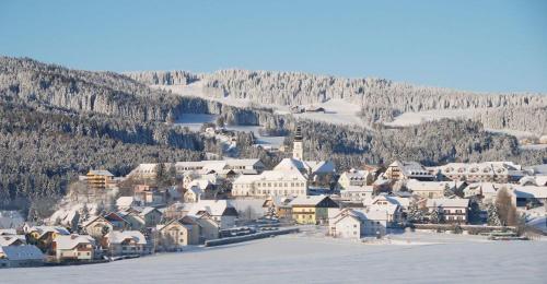 a small town with snow covered buildings and a mountain at PANORAMA SportHOTEL in Wenigzell