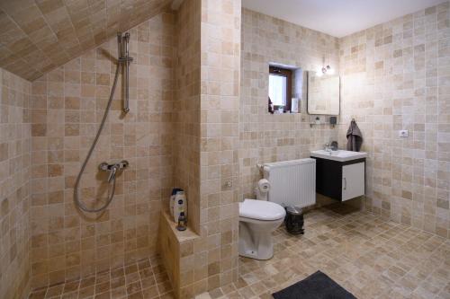 y baño con ducha, aseo y lavamanos. en Villa Santha, en Cheia