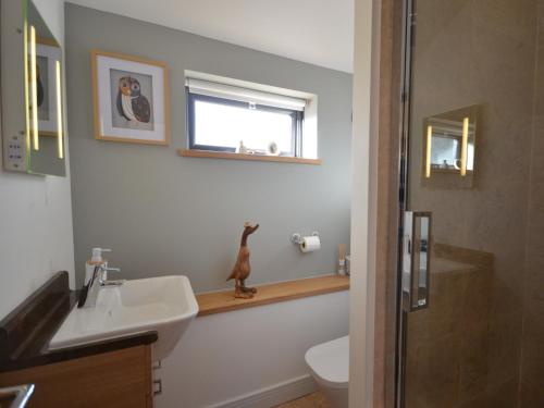 Vonios kambarys apgyvendinimo įstaigoje 2 bed property in Cinderford 65670