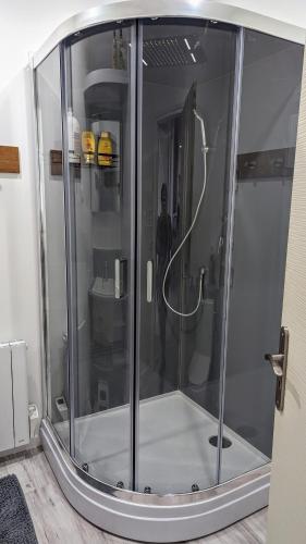 une douche avec une porte vitrée dans une salle de bain dans l'établissement Domaine de la Griffe - Appartement 