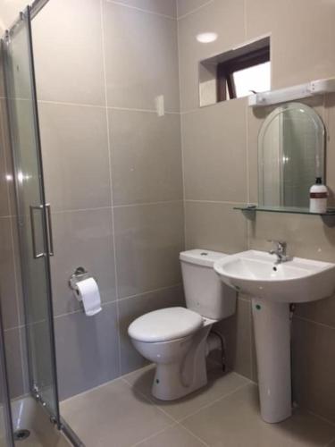 a bathroom with a toilet and a sink and a shower at An Uaimh , superb 6 bedroom house. in Killybegs