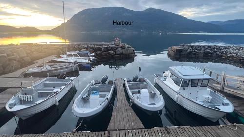 un grupo de barcos atracados en un muelle en el agua en Awesome Fishing, Boating and Nature Experience at Fiskesenter Birkeland, en Rekdal