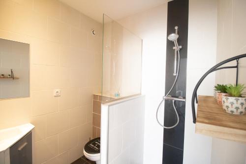 y baño con ducha, aseo y lavamanos. en Appartement T2 au centre de Bourg en Bresse, en Bourg-en-Bresse