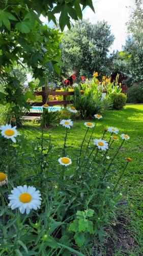 a garden with flowers and a bench in the background at Cabañas Pulmahue in Colón