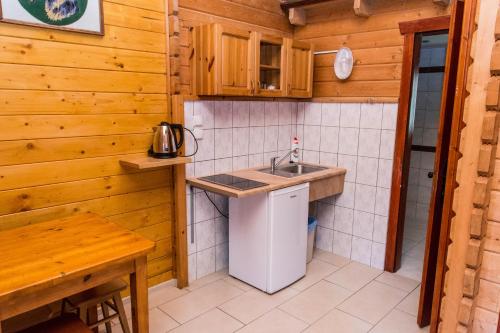 une petite cuisine avec évier et comptoir dans l'établissement Noclegi-Dobczyce, à Dobczyce