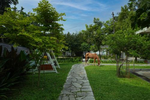 a horse grazing on the grass in a yard at Royad Calicut Farm House - Premium Villa with Pool Inside a Farm in Kozhikode