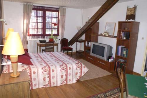 Cuxac-CabardèsMaison chaleureuse à Cuxac-Cabardès avec jardin de 3500m²的一间有床和电视的卧室