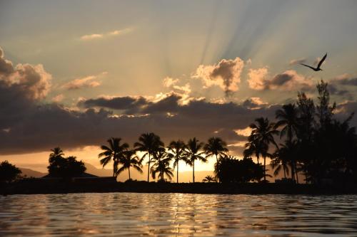 Duplex T2, 4 adultes, piscine, plage à proximité
