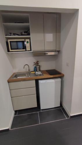 une petite cuisine avec un évier et un micro-ondes dans l'établissement Studio au cœur des Chartrons, à Bordeaux
