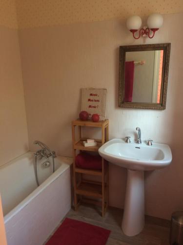 une salle de bain avec un lavabo, une baignoire et un miroir dans l'établissement Maison au coeur du Massif des Trois Pignons, à Noisy-sur-École