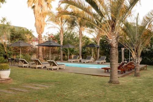 a pool with chairs and umbrellas next to a palm tree at Elianthe Guesthouse in Swellendam
