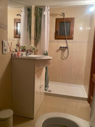 a bathroom with a sink and a shower at Alojamiento Finca La Campa 