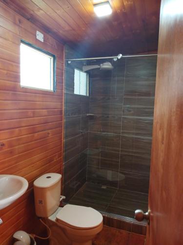 uma casa de banho com um chuveiro, um WC e um lavatório. em Hospedaje cabaña Guatavita Finca las Acacias em Guatavita