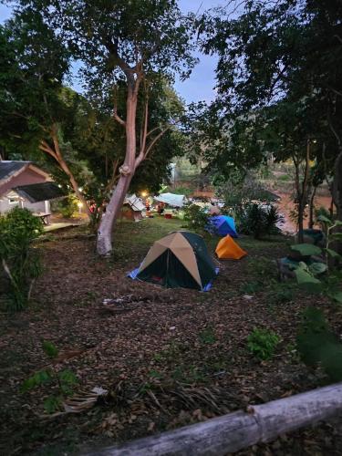 a group of tents in a field next to a tree at ทับศิลารีสอร์ท Tubsila Resort in Chongsadao