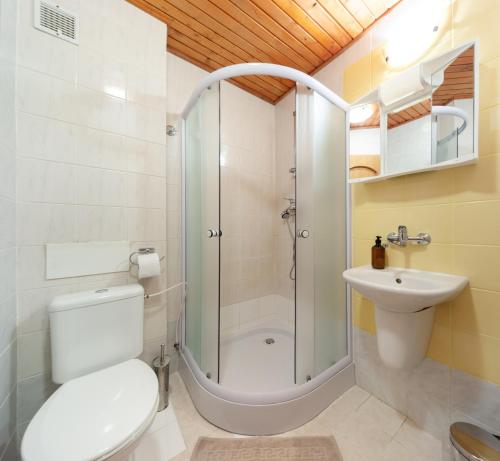 a bathroom with a shower and a toilet and a sink at Horská chata Smrekovica in ľubochňa