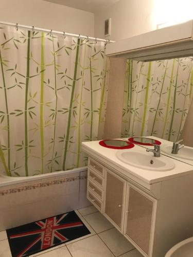une salle de bain avec un lavabo et un rideau de douche dans l'établissement Biscarrosse Bourg Charmant T3 en centre ville, à Biscarrosse