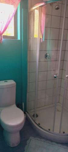 a bathroom with a toilet and a shower at Cat Nap Cottage in Bettyʼs Bay