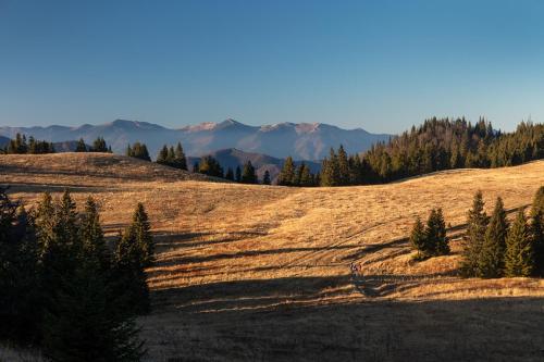 a brown field with trees and mountains in the background at Horská chata Smrekovica in ľubochňa