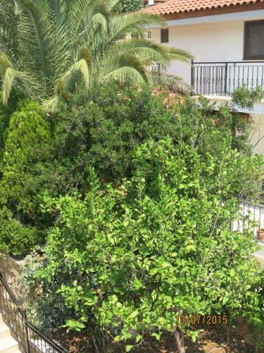 Foto dalla galleria di Kulube Hotel a Kalkan