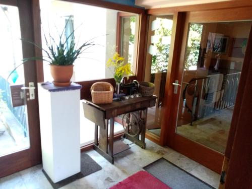 Aoyer mit Tisch und Pflanze drauf in der Unterkunft Haus Vogelparadies in Hemhofen