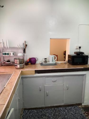 Kuhinja oz. manjša kuhinja v nastanitvi Graceland 2