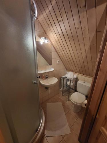 a bathroom with a toilet and a sink at Pokoje u Rumcajsa in Ząb