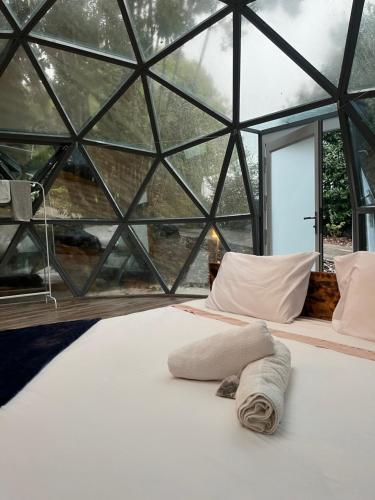 - une chambre avec un lit dans une maison en verre dans l'établissement Quinta do Abacate - Glamping Park, à Angra do Heroísmo