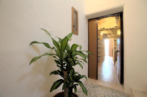 Le residenze del capitano photo 135