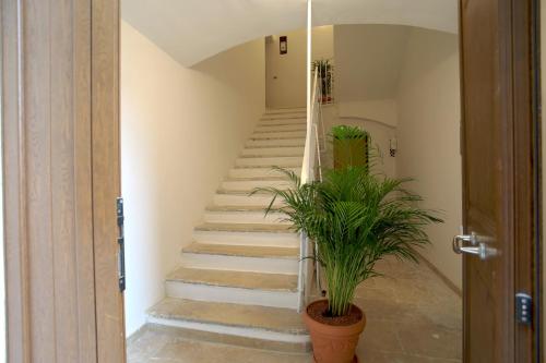 Le residenze del capitano photo 138