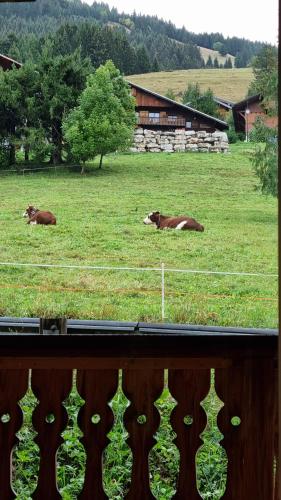 Photo de la galerie de l'établissement Les Chalets du Petit Châtel, à Châtel