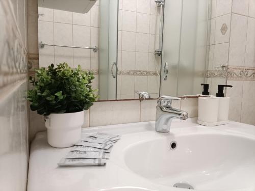 a bathroom sink with a faucet and a potted plant at Old Town Retreat with Stunning Views 2 bedroom Apartment in Rīga