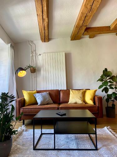 Charmante Altstadtwohnung 3 OG في سولوتورن: غرفة معيشة مع أريكة بنية مع وسائد صفراء