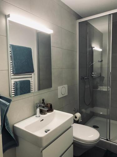 ein Bad mit einem Waschbecken, einer Dusche und einem WC in der Unterkunft Charmante Altstadtwohnung 3 OG in Solothurn