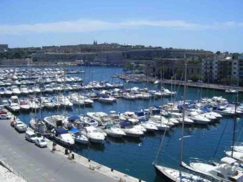 a bunch of boats are docked in a harbor at Wait and Sea in Taʼ Xbiex