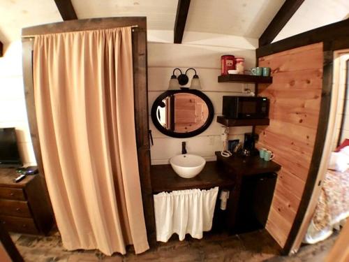 a bathroom with a sink and a mirror at Tiny Home Cottage Near the Smokies #2 Lotte in Sevierville